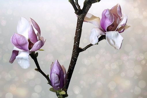 Marzo
